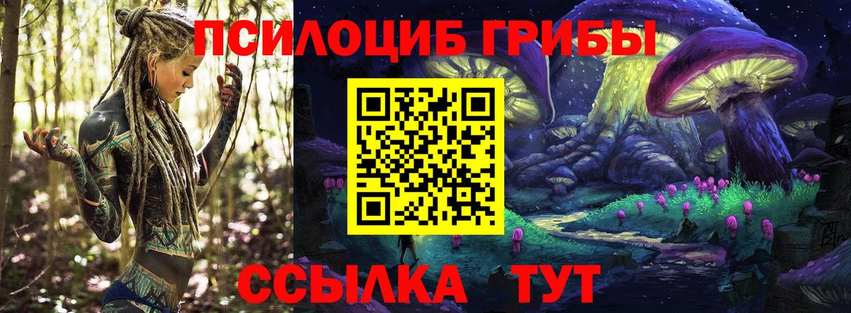Псилоцибиновые грибы Cubensis  где купить наркоту  Елабуга  Вход с VPN 