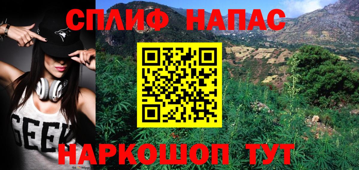 Бошки Шишки VHQ Елабуга